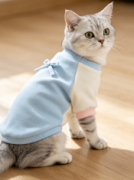 宠物潮搭服饰，时尚